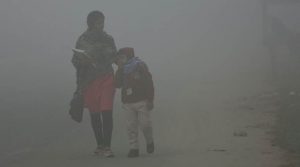 Delhi doctors declare pollution emergency