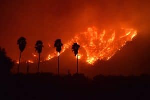 Live Video : California Wildfires Latest Updates | Thomas fire