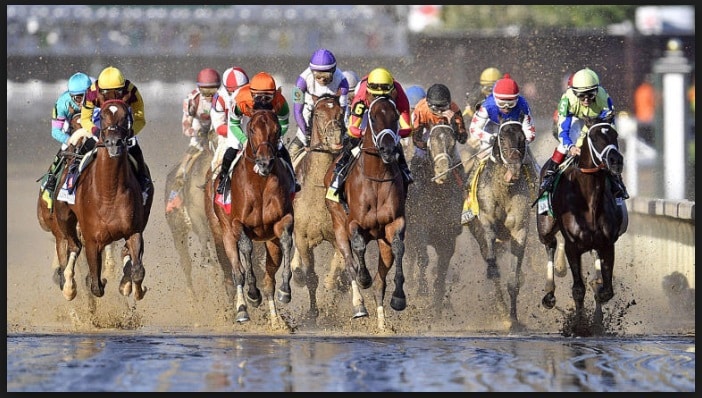 Belmont Stakes 2018 : Who won the race.