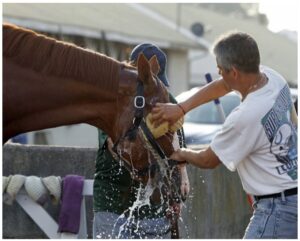 Justify getting ready for Belmont Stakes 2018