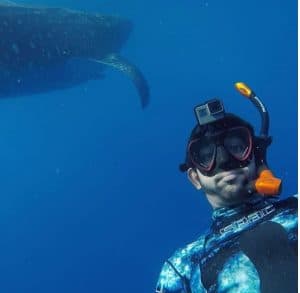 Dubai Crown Prince Shaikh Hamdan swimming with Giant Whale shark