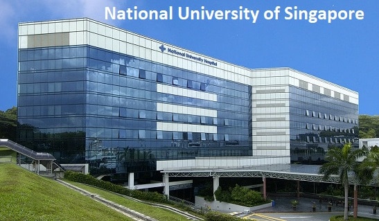 national university of www.guide4info.com singapore